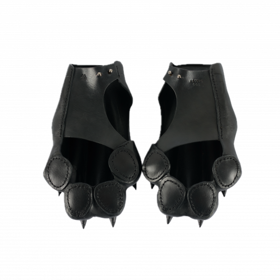 DOG PAWS MEN