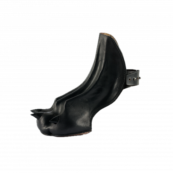 DOG PAW SHOE COVERS