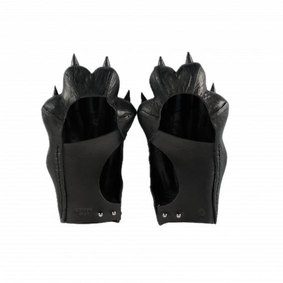 DOG PAWS WOMEN