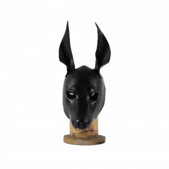 ANUBIS MASK
